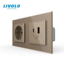 Розетка LIVOLO з USB-A та USB-C, Power Delivery 36W, золота, настінна дизайнерська, скляна рамка