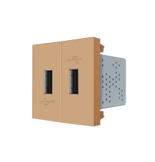 Подвійна розетка USB LIVOLO золота, з блоком живлення 2×USB-A 5V/2.1A, 2×10Вт, модуль (VL-FCUA-2AP)