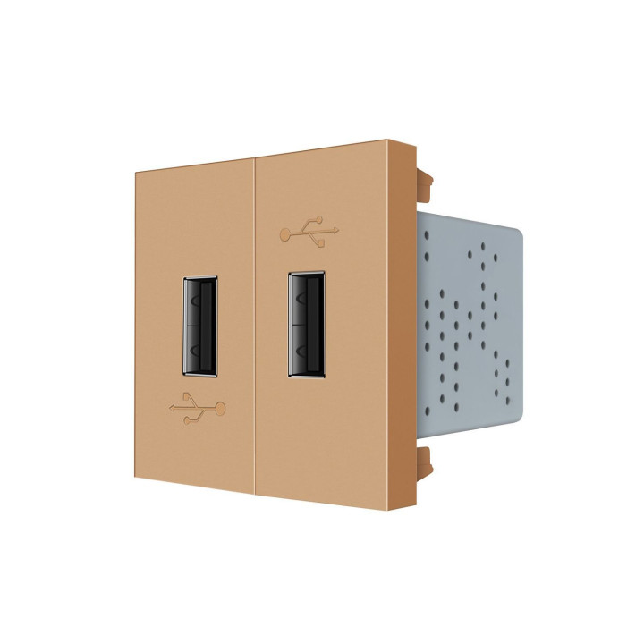 Подвійна розетка USB LIVOLO золота, з блоком живлення 2×USB-A 5V/2.1A, 2×10Вт, модуль (VL-FCUA-2AP) · LIVOLO · VL-FCUA-2AP