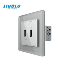 Розетка подвійна USB з блоком живлення LIVOLO сіра 2.5D скло