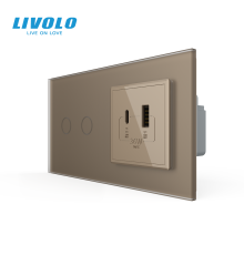 Сенсорний (дотиковий) подвійний вимикач LIVOLO з розеткою USB-A + USB-C 36Вт золотий матовый скло