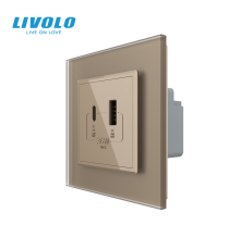 Розетка USB-A та USB-C з Power Delivery 36W LIVOLO золота матова скло