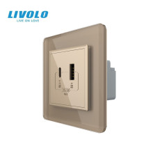 Розетка USB-A та USB-C з Power Delivery 36W LIVOLO золота 2.5D скло
