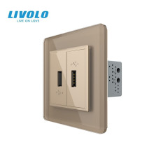 Розетка подвійна USB з блоком живлення LIVOLO золота 2.5D скло