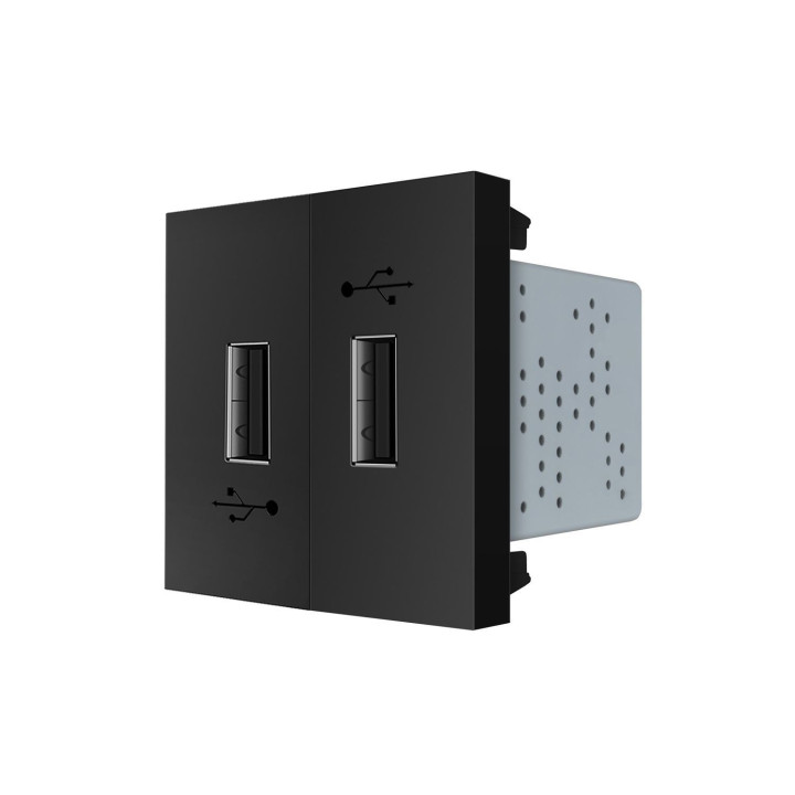 Подвійна розетка USB LIVOLO чорна, з блоком живлення 2×USB-A 5V/2.1A, 2×10Вт, модуль (VL-FCUA-2BP) · LIVOLO · VL-FCUA-2BP