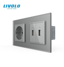 Розетка з заземленням з 2 USB розетками LIVOLO сіра матова скло