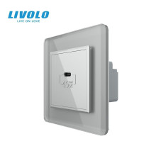 Розетка USB Type-C з Power Delivery 45W LIVOLO сіра 2.5D скло