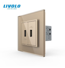 Розетка подвійна USB з блоком живлення Livolo золото скло (VL-C792U-13)