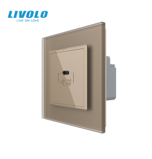 Розетка USB Type-C з Power Delivery 45W LIVOLO золота матова скло