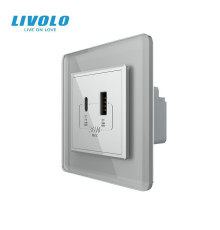 Розетка USB-A та USB-C з Power Delivery 36W LIVOLO сіра 2.5D скло