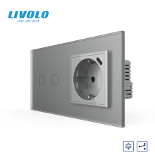 Прохідний сенсорний димер LIVOLO на 2 сенсори з розеткою та USB Type-C 18Вт, сірий матовый, заземлення