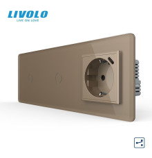Прохідний сенсорний вимикач 2 сенсори (1-1) з розеткою з USB Type-C 18 Вт, заземлення, LIVOLO золотий 2.5D скло