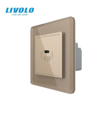 Розетка USB Type-C з Power Delivery 45W LIVOLO золота 2.5D скло