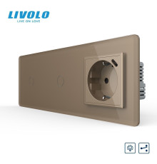 Прохідний сенсорний димер LIVOLO 2 сенсори (1-1) з розеткою з USB Type-C 18Вт, золотий 2.5D скло, заземлення