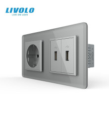 Розетка з заземленням з 2 USB розетками LIVOLO сіра 2.5D скло
