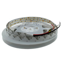2835-120-IP33-WW-8-48 RN08C0TH-A 3000K · RISHANG · 20503