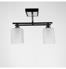Стельовий світильник DUO LINE в чорному корпусі на 2 плафони