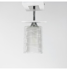 Стельова люстра в білому корпусі на 1 плафон