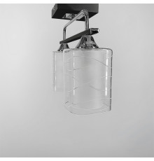 Стельова люстра в чорному корпусі на 2 плафони