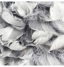 Настінний світильник із натурального сірого пірʼя