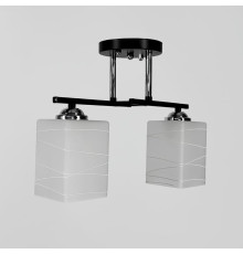 Прямокутний плафонний світильник на 2 лампи в чорному корпусі 34х15 см