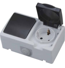 Розетка з заземленням з кришкою + вимикач ATOM