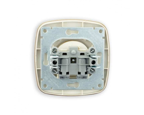 Розетка одинарна без заземлення золото ELA