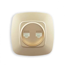 Розетка подвійна комп'ютерна золото ELA