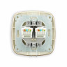 Розетка подвійна комп'ютерна золото ELA · HOROZ ELECTRIC · 8619 — 3