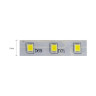 Світлодіодна стрічка NIL синя 12V DC · HOROZ ELECTRIC · 10566 — 2