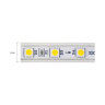 5050-60-IP20-RGB/WW-12-24 RD0260AC-A RGB/2700K · RISHANG · 10540 — 2