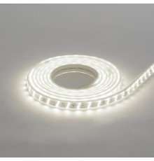 Стрічка Діодна GANJ 6400K (220-240V) вологозахищена