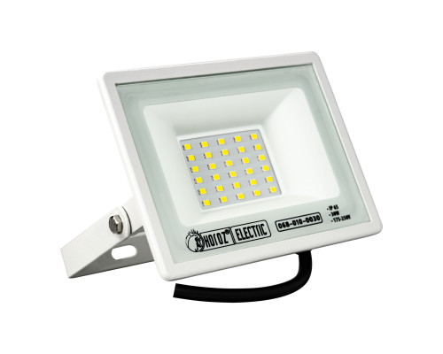 Прожектор світлодіодний ASLAN-30 30W 6400K