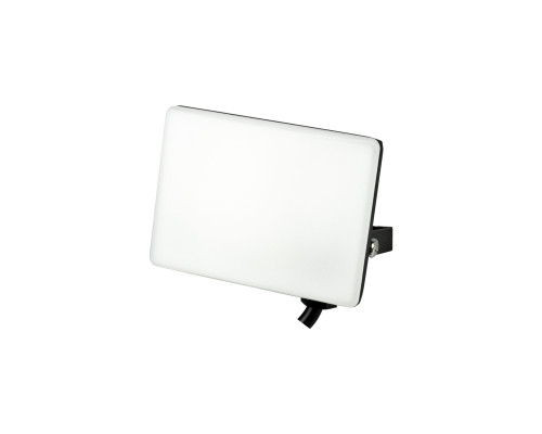 Прожектор світлодіодний PEGASUS-10 10W 6400K