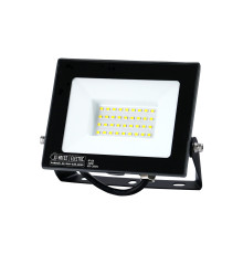 Прожектор світлодіодний PARDUS-30 30W 6400K