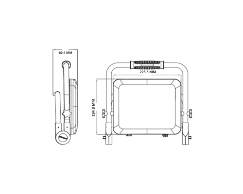 Прожектор світлодіодний PEGASUS/W-100 100W 6400K