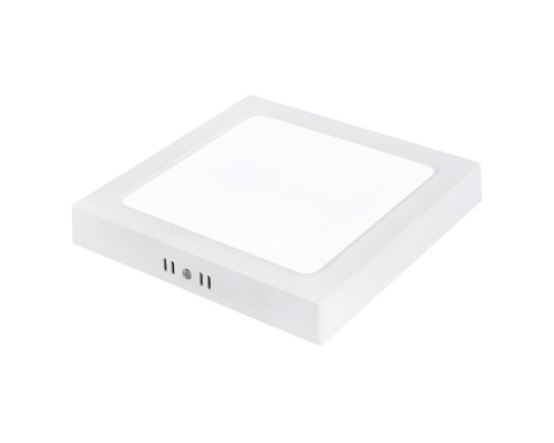 Світлодіодний світильник SELENA-24 3CCT 24W білий