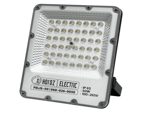 Прожектор світлодіодний FELIS-50 50W 6400К