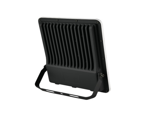 Прожектор світлодіодний FELIS-50 50W 6400К